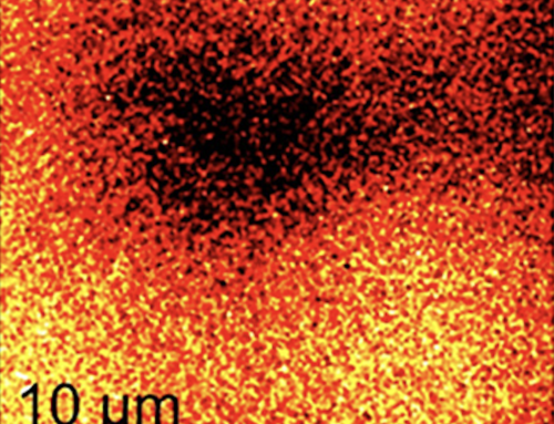 New SLM-based approach in electron microscopy: all-optical rapidly-programmable phase mask for electrons.